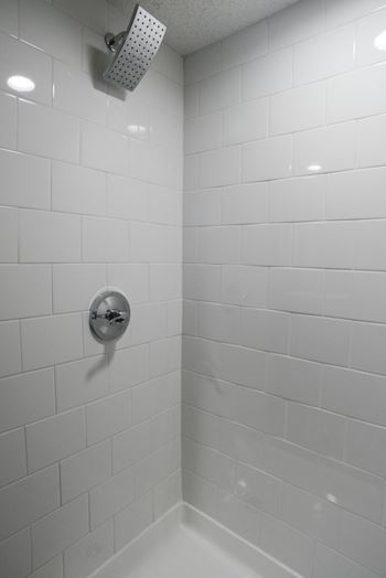 Rainfall Shower Heads